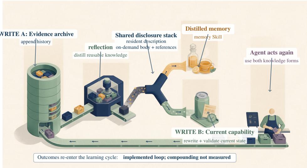 Memory–Skill 的共享读取与两种写入路径